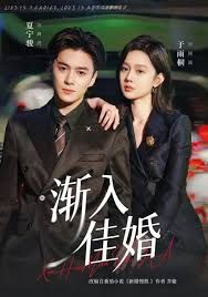 渐入佳婚第一部(全集)