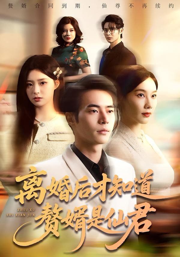 离婚后才知道赘婿是仙君(全集)
